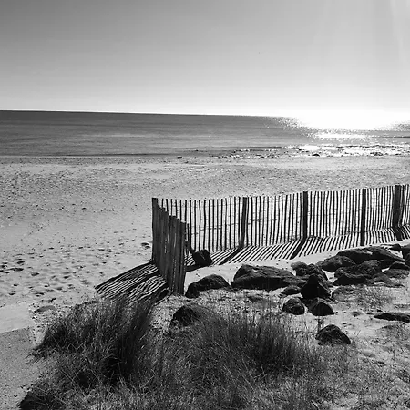 Front De Mer, Vue A 180° Sur La Mediterranee, Acces Direct