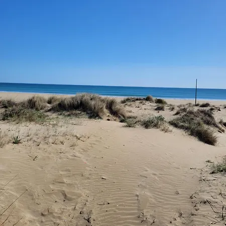 Front De Mer, Vue A 180° Sur La Mediterranee, Acces Direct * Агд