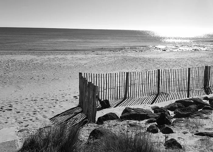 Front De Mer, Vue à 180° Sur La Méditerranée, Accès Direct